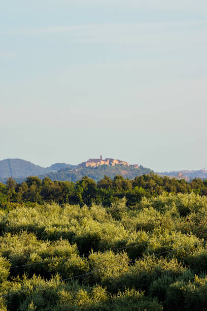 Tramonto sulle colline del Montalbano tra gli uliveti
