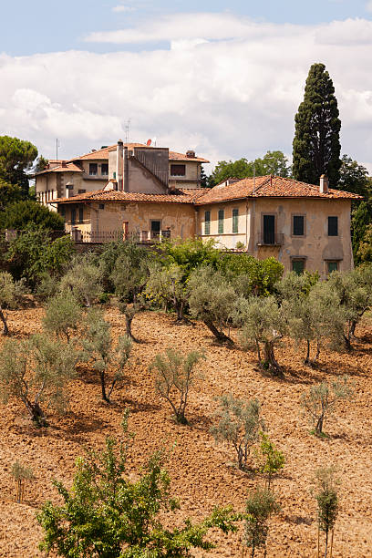 Casa colonica tra gli uliveti delle colline del Montalbano