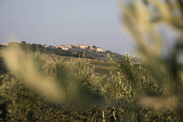 Colline del Montalbano alle porte di Lamporecchio