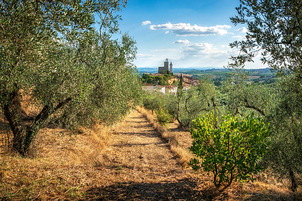 Le colline del Montalbano tra Lamporecchio e Vinci